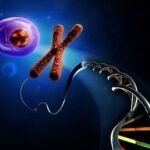 Recombinant DNA Technology